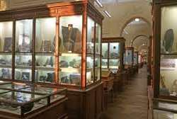 The Musee de Mineralogie is a hidden gem among oth The Musee de Mineralogie is a hidden gem among other popular venues. It is unique and surprisingly obscure considering its history dating back to 1783
